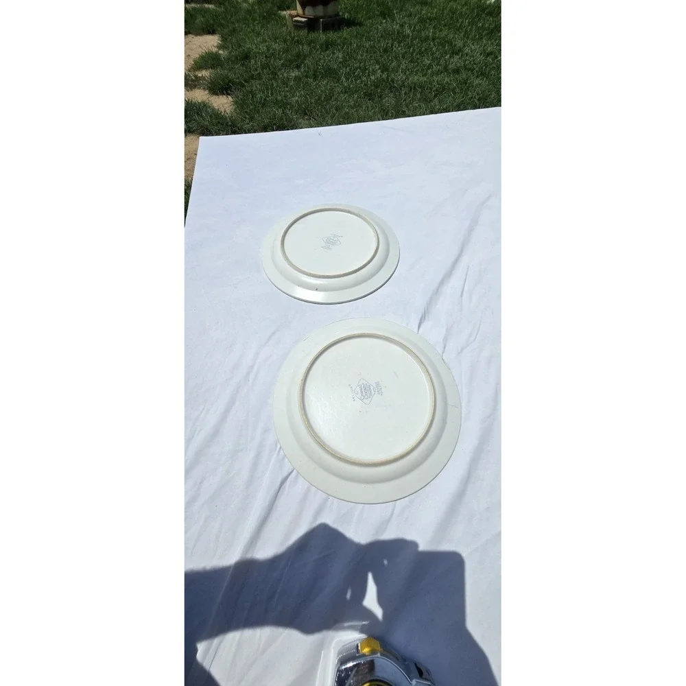 Vintage Plates Set of 2 Electra Casual Ceram Stoneware 10